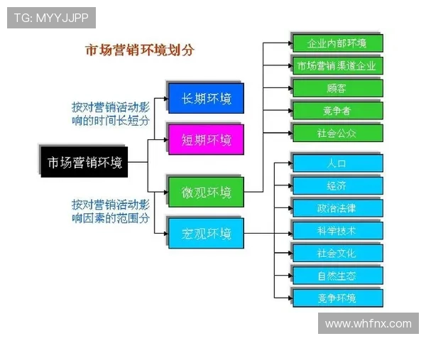 韩国企业家创新精神与全球市场扩展的成功之道分析