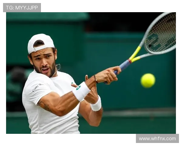 贝雷蒂尼:网球因呻吟声而性感 贝雷蒂尼:网球因呻吟声而性感